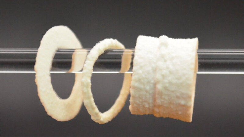 Materials Science - Cylindrical demonstrations of the 3D printed scaffolds. 2026 EPFL SMaL CC BY SA Materials Science